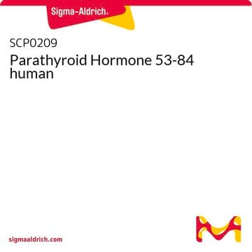 Parathyroid Hormone 53-84 human