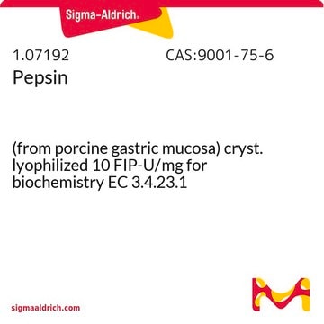 Pepsin (from porcine gastric mucosa) cryst. lyophilized 10 FIP-U/mg for biochemistry EC 3.4.23.1