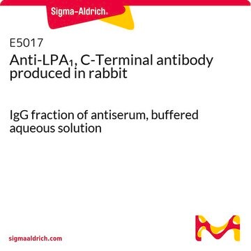 Anti-LPA1, C-Terminal antibody produced in rabbit IgG fraction of antiserum, buffered aqueous solution