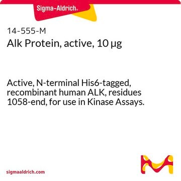 Alk Protein, active, 10 &#181;g Active, N-terminal His6-tagged, recombinant human ALK, residues 1058-end, for use in Kinase Assays.