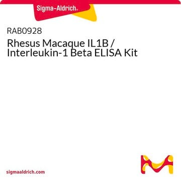 Rhesus Macaque IL1B / Interleukin-1 Beta ELISA Kit