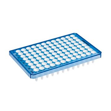 Eppendorf&#174; Twin tec real-time PCR plates blue plate, conical bottom white wells, semi-skirted, pkg of 25&#160;ea