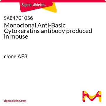 Monoclonal Anti-Basic Cytokeratins antibody produced in mouse clone AE3