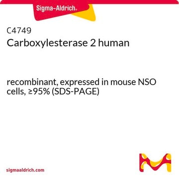 カルボキシエステラーゼ2 ヒト recombinant, expressed in mouse NSO cells, &#8805;95% (SDS-PAGE)