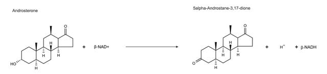 3&#945;-Hydroxysteroid-Dehydrogenase Zubereitung aus Pseudomonas testosteroni &#8805;15&#160;units/mg protein