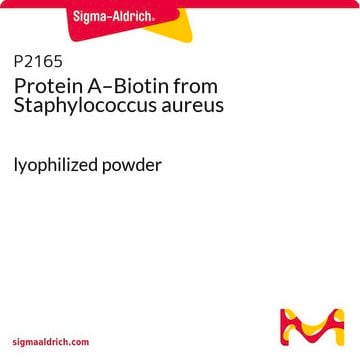 Protein A–Biotin from Staphylococcus aureus lyophilized powder