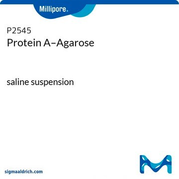 Protéine&#160;A-agarose saline suspension