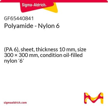 Polyamide - Nylon 6 (PA 6), sheet, thickness 10&#160;mm, size 300 × 300&#160;mm, condition oil-filled nylon &#8242;6&#8242;