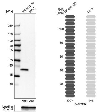 Anti-FAM213A antibody produced in rabbit Prestige Antibodies&#174; Powered by Atlas Antibodies, affinity isolated antibody, buffered aqueous glycerol solution