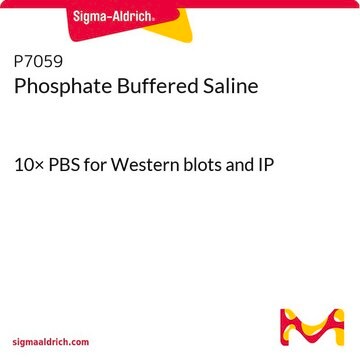 Phosphate Buffered Saline 10× PBS for Western blots and IP