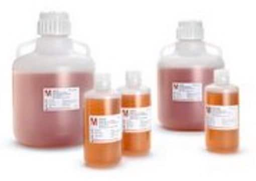 Anti-A (clon BIRMA-1) , FFMU Anti-A from the clone BIRMA-1, Murine IgM, Intermediate for further manufacturing use