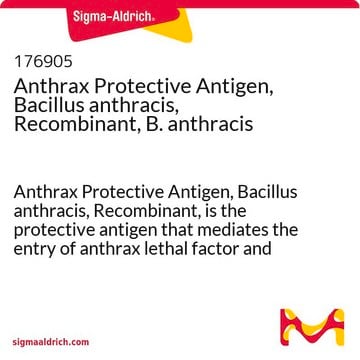 Anthrax-Schutz-Antigen, Bacillus anthracis, rekombinant, B. anthracis Anthrax Protective Antigen, Bacillus anthracis, Recombinant, is the protective antigen that mediates the entry of anthrax lethal factor and edema factor into the target cell.