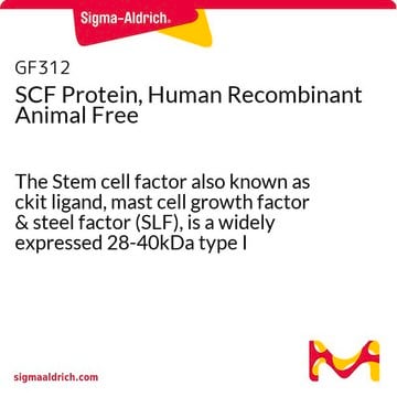 SCF Protein, Human Recombinant Animal Free The Stem cell factor also known as ckit ligand, mast cell growth factor &amp; steel factor (SLF), is a widely expressed 28-40kDa type I transmembrane glycoprotein. Recombinant animal free human SCF is manufactured using all non-animal reagents.