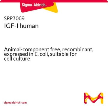 IGF-I human Animal-component free, recombinant, expressed in E. coli, suitable for cell culture