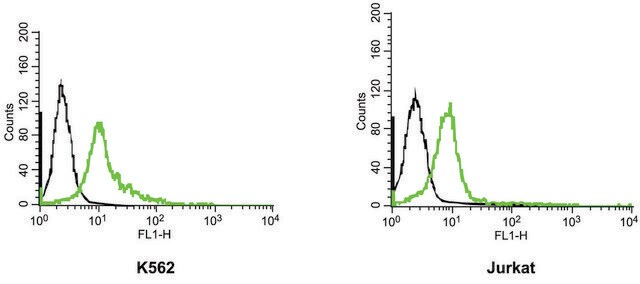 Anti-Potassium Channel KV11.1 (HERG) Extracellular-FITC antibody produced in rabbit affinity isolated antibody, lyophilized powder