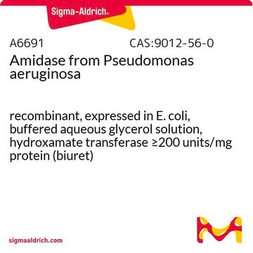 Amidase aus Pseudomonas aeruginosa recombinant, expressed in E. coli, buffered aqueous glycerol solution, hydroxamate transferase &#8805;200&#160;units/mg protein (biuret)