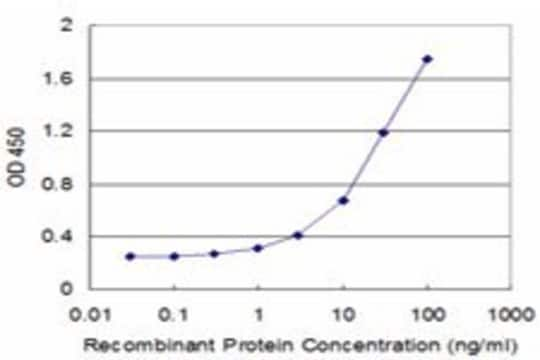 Monoclonal Anti-CRYBA2 antibody produced in mouse clone 2G9, purified immunoglobulin, buffered aqueous solution