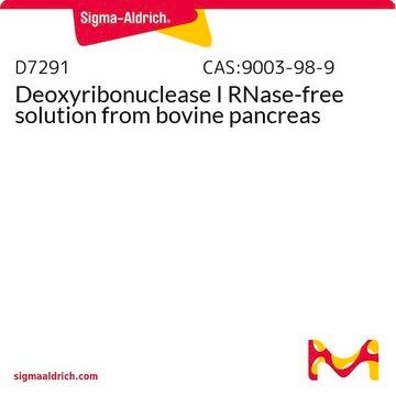 Deoxyribonuclease I RNase-free solution from bovine pancreas