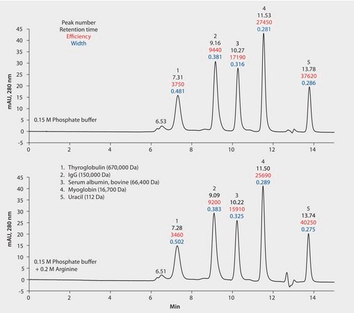 HPLC Analysis of Protein Standards on Zenix&#174; SEC-300 by Size Exclusion As Affected by Arginine application for HPLC