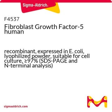 Fibroblast Growth Factor-5 human recombinant, expressed in E. coli, lyophilized powder, suitable for cell culture, &#8805;97% (SDS-PAGE and N-terminal analysis)