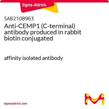 Anti-CEMP1 (C-terminal) antibody produced in rabbit biotin conjugated affinity isolated antibody