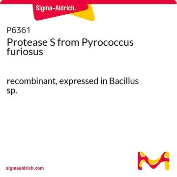 Protease S from Pyrococcus furiosus recombinant, expressed in Bacillus sp.