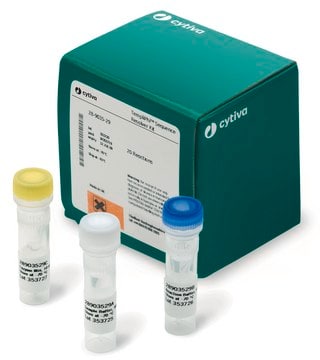 TempliPhi&#8482; Seq Resolver Kit Cytiva 28-9035-29, sufficient for 20&#160;reactions