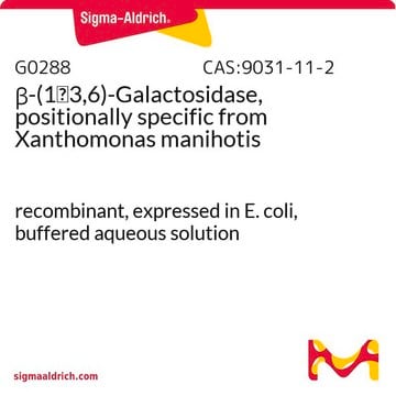 &#946;-(1&#8594;3,6)-Galactosidase, positionally specific from Xanthomonas manihotis recombinant, expressed in E. coli, buffered aqueous solution