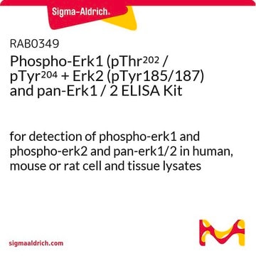 磷酸化Erk1 (pThr202 / pTyr204 + Erk2 (pTyr185/187) 和 pan-Erk1 / 2 ELISA试剂盒 for detection of phospho-erk1 and phospho-erk2 and pan-erk1/2 in human, mouse or rat cell and tissue lysates