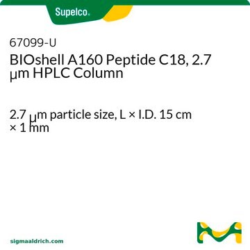 BIOshell A160 Peptide C18, 2.7 &#956;m HPLC Column 2.7&#160;&#956;m particle size, L × I.D. 15&#160;cm × 1&#160;mm