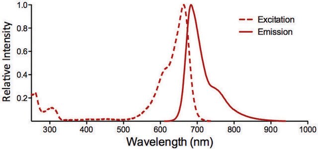 Monoclonal Anti-GABA A Receptor-Atto 655 antibody produced in mouse clone S399-19