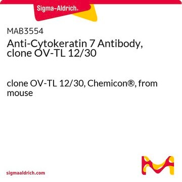 Anti-Cytokeratin 7 Antibody, clone OV-TL 12/30 clone OV-TL 12/30, Chemicon&#174;, from mouse