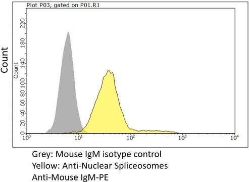 Anti-Nuclear Spliceosomes Antibody, clone 780-3