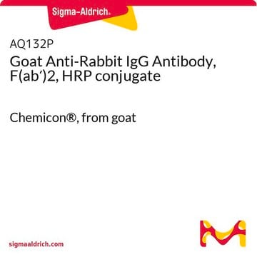 Goat Anti-Rabbit IgG Antibody, F(ab&#8242;)2, HRP conjugate Chemicon&#174;, from goat