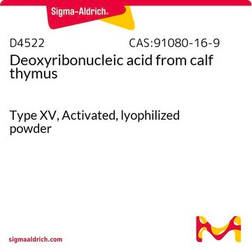 Desoxyribonukleinsäure aus Kalbsthymus Type XV, Activated, lyophilized powder