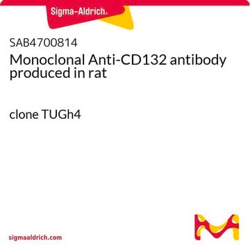 Monoclonal Anti-CD132 antibody produced in rat clone TUGh4