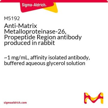 Anti-Matrix Metalloproteinase-26, Propeptide Region antibody produced in rabbit ~1&#160;mg/mL, affinity isolated antibody, buffered aqueous glycerol solution