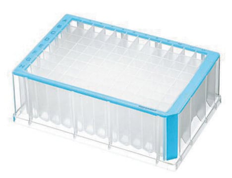 Eppendorf&#174; Deepwell Plate 96/2000&#956;L sterile, volume 2000&#160;&#956;L, blue border with clear wells, pkg of 20&#160;plates (5 bags x 4 plates)