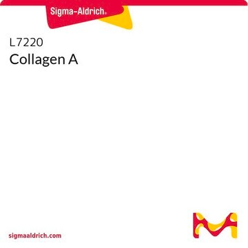 Collagen A