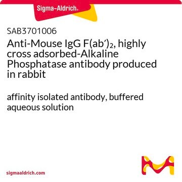 Anti-Mouse IgG F(ab&#8242;)2, highly cross adsorbed-Alkaline Phosphatase antibody produced in rabbit affinity isolated antibody, buffered aqueous solution