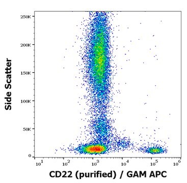 Monoclonal Anti-CD22, purified produced in mouse