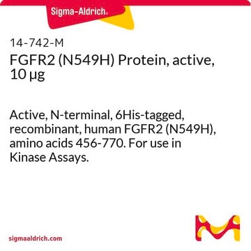 FGFR2 (N549H) Protein, active, 10 &#181;g Active, N-terminal, 6His-tagged, recombinant, human FGFR2 (N549H), amino acids 456-770. For use in Kinase Assays.