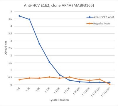 Anti-HCV E1E2 Antibody, clone AR4A