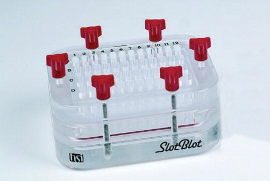 Slot Blot Manifold PR648, pack of 1&#160;ea