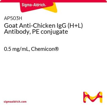 Goat Anti-Chicken IgG (H+L) Antibody, PE conjugate 0.5&#160;mg/mL, Chemicon&#174;