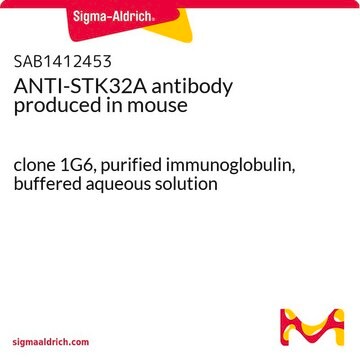 ANTI-STK32A antibody produced in mouse clone 1G6, purified immunoglobulin, buffered aqueous solution