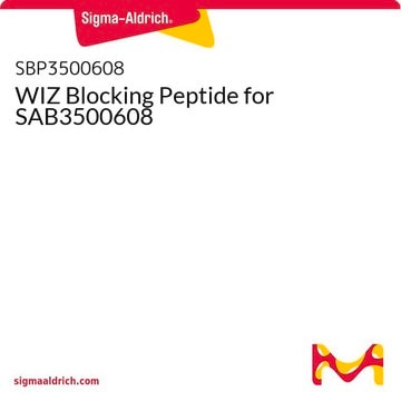 WIZ Blocking Peptide for SAB3500608