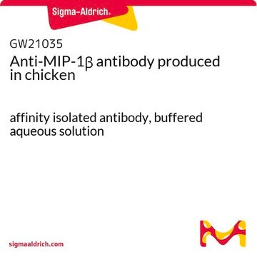 Anti-MIP-1&#946; antibody produced in chicken affinity isolated antibody, buffered aqueous solution