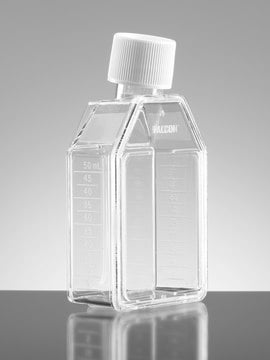 Corning&#174; Falcon&#174; Cell Culture Flask capacity 150&#160;mL, canted neck, graduated, 25 &#8209; 325&#160;mL, cap, blue vented