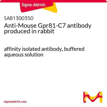 Anti-Mouse Gpr81-C7 antibody produced in rabbit affinity isolated antibody, buffered aqueous solution